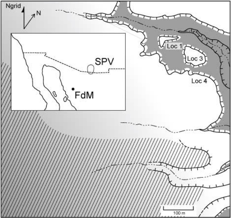 Figure 1. El Fin del Mundo with location of locality 1 (black area at east end is the excavation) and the area of the upland camps (cross hatched in lower part of map). Inset shows location of the site (El Fin del Mundo, FdM) in northern Mexico relative to the Clovis mammoth kills in the upper San Pedro Valley (SPV) of southern Arizona.