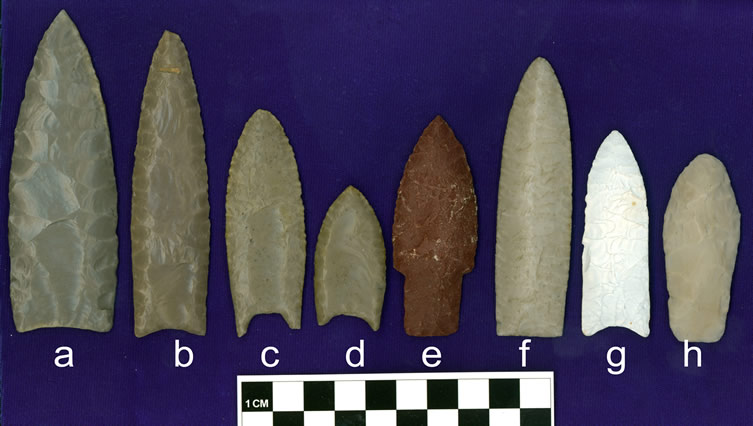 Examples of casts of classic Paleoindian projectile points in the Haynes Cast Collection from key sites on the Great Plains: a, b) Clovis points from the Clovis site (Blackwater Draw No. 1) in New Mexico; cast (b) is one of the "type" Clovis points; ; c,d) Folsom points, also from the Clovis site; e) an Alberta point from the  Hudson-Meng site, Nebraska; f) a Cody/Firstview point from the Clovis site; g) a Plainview point from the Plainview site, Texas; h) a Hell Gap point from the Hell Gap site, Wyoming.  These points are color matched, except for g.
