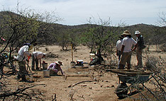 Excavations under way at one of  the Clovis Loci at El Bajio (G. Sanchez).
