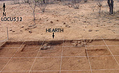 A hearth associated with broken bifaces  (from lanceolate, possibly Clovis, points)  and thousands of thinning flakes (G. Sanchez).