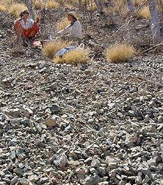 The quarry at Cerro la Vuelta (G. Sanchez).