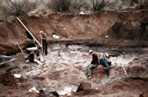 Excavations at the Lehner site, 1955,  with the bone bed well exposed (Arizona State Museum).